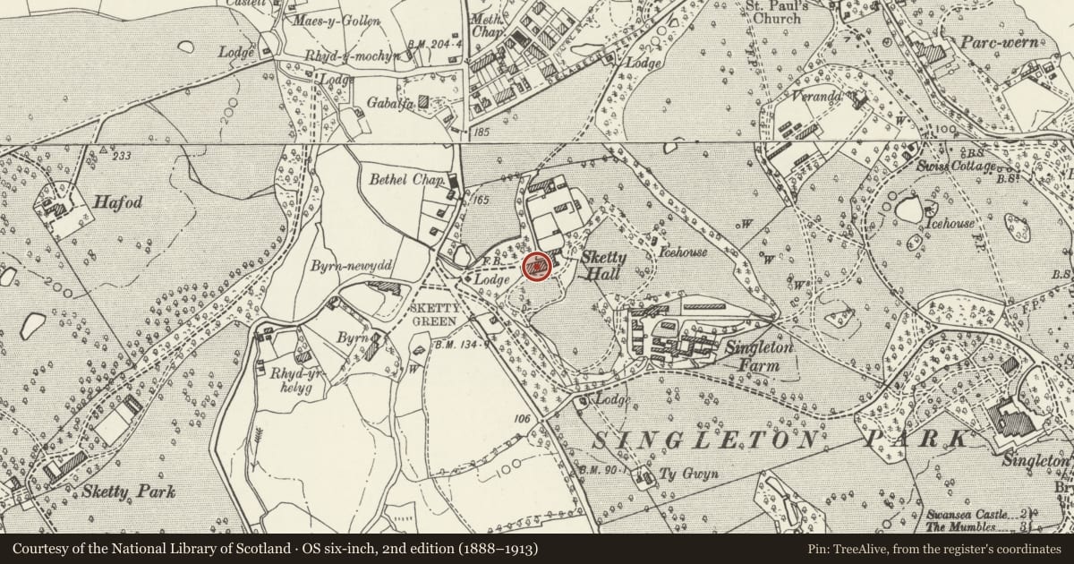 Ordnance Survey six-inch map, 2nd edition (1888–1913) covering the location of Sketty Hall, Swansea, with a pin at the register's coordinates