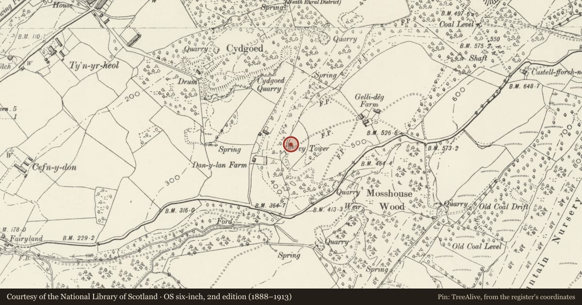 Ordnance Survey six-inch map, 2nd edition (1888–1913) covering the location of Ivy Tower, Tonna, Neath Port Talbot, with a pin at the register's coordinates