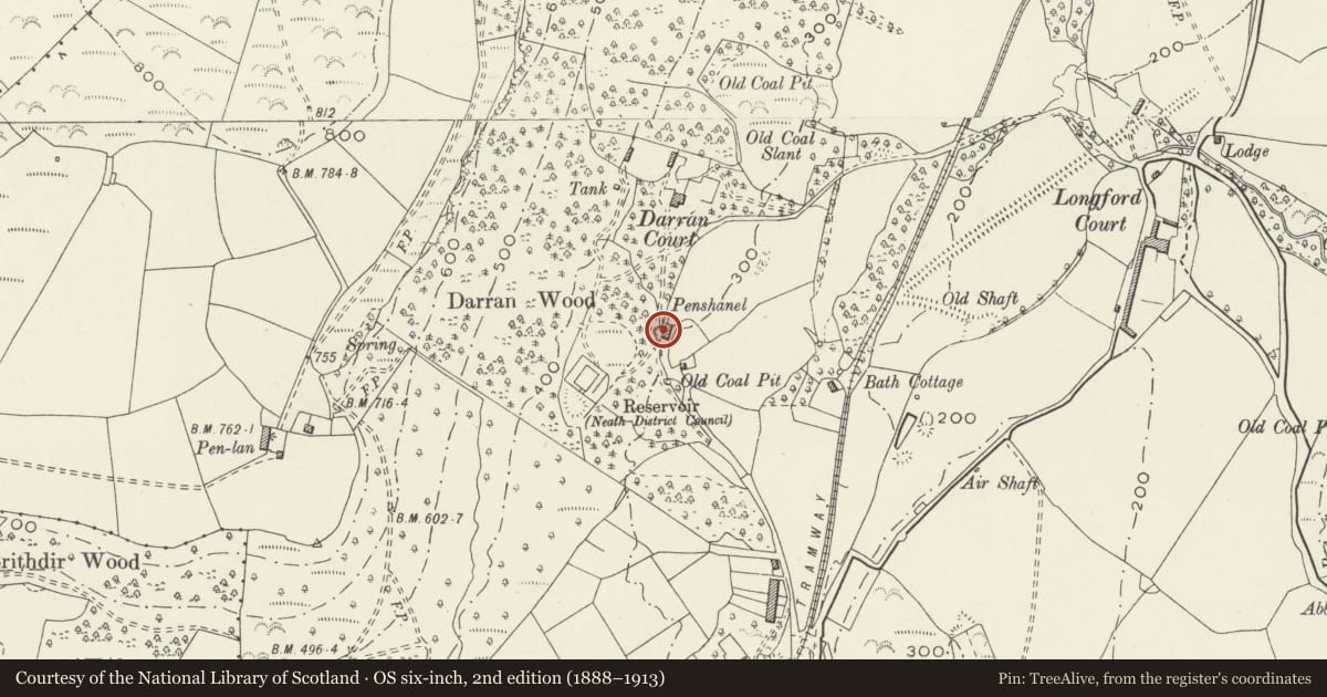 Ordnance Survey six-inch map, 2nd edition (1888–1913) covering the location of Pensianel Pigsty, Dyffryn Clydach, Neath Port Talbot, with a pin at the register's coordinates