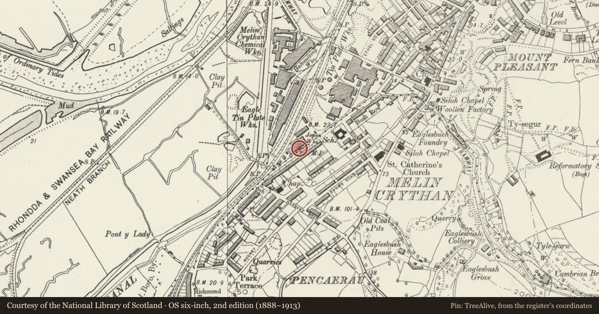 Ordnance Survey six-inch map, 2nd edition (1888–1913) covering the location of Milepost, Neath, Neath Port Talbot, with a pin at the register's coordinates