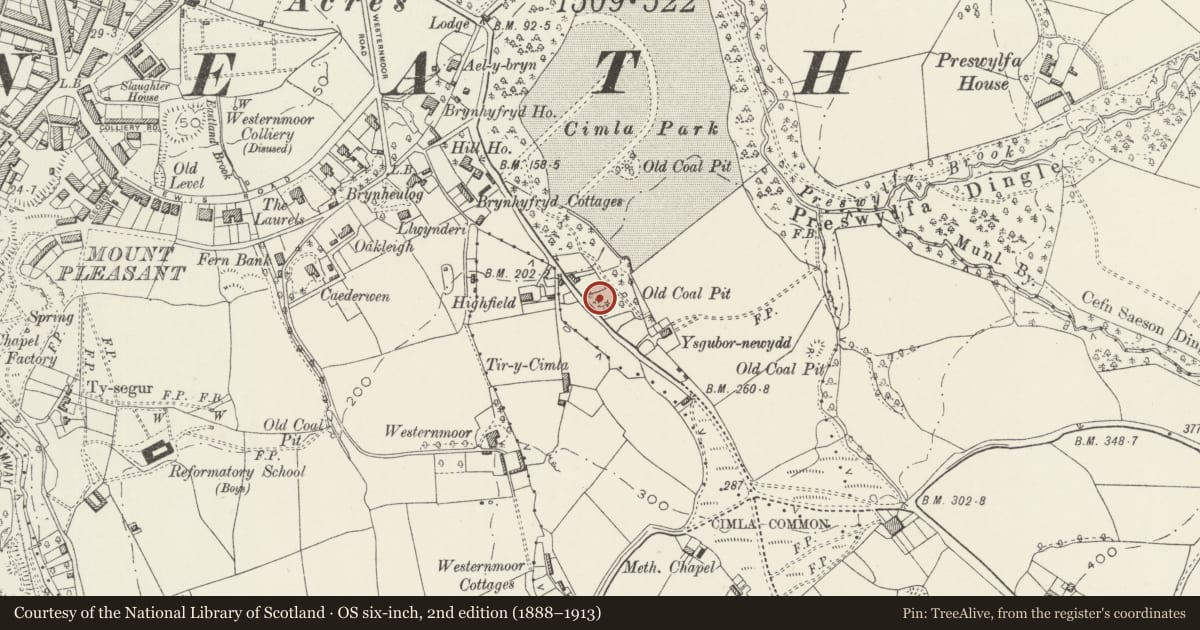 Ordnance Survey six-inch map, 2nd edition (1888–1913) covering the location of Hugh Vaughan & Co Ltd, Neath, Neath Port Talbot, with a pin at the register's coordinates
