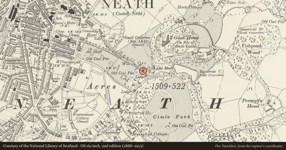 Ordnance Survey six-inch map, 2nd edition (1888–1913) covering the location of War Memorial Gates, Neath, Neath Port Talbot, with a pin at the register's coordinates