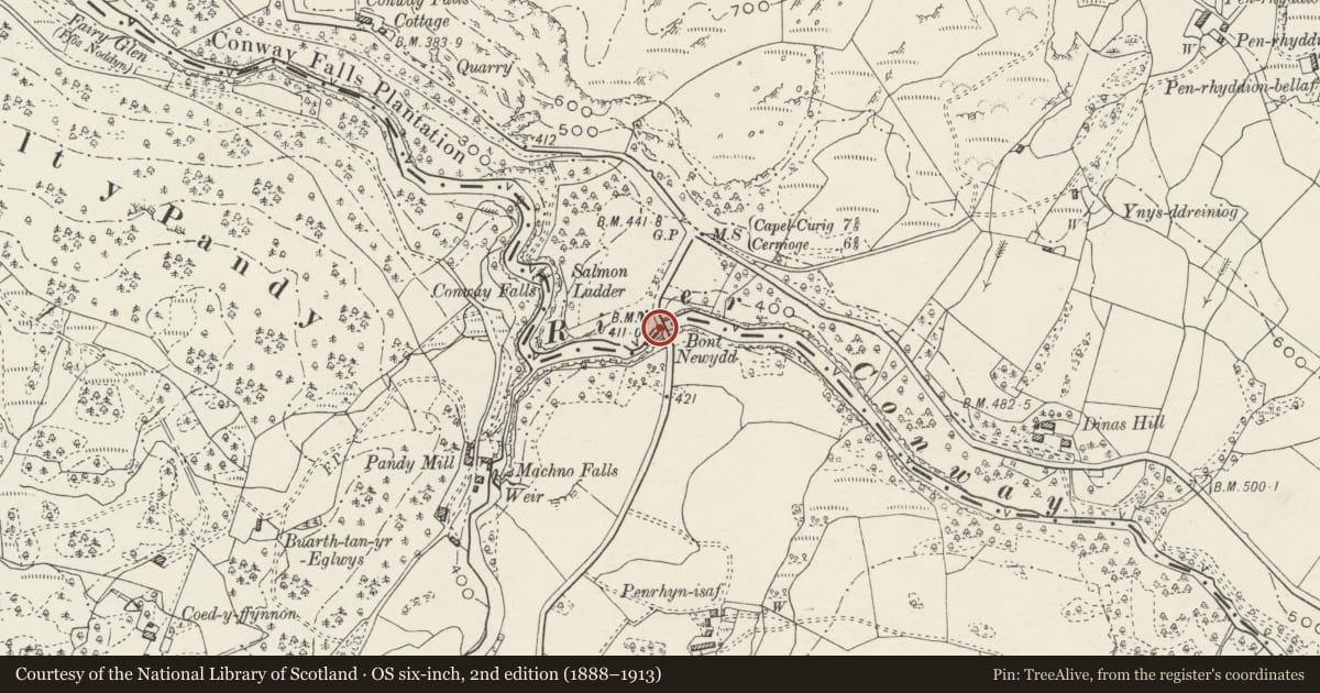 Ordnance Survey six-inch map, 2nd edition (1888–1913) covering the location of Bont Newydd, Bro Garmon, Conwy, with a pin at the register's coordinates