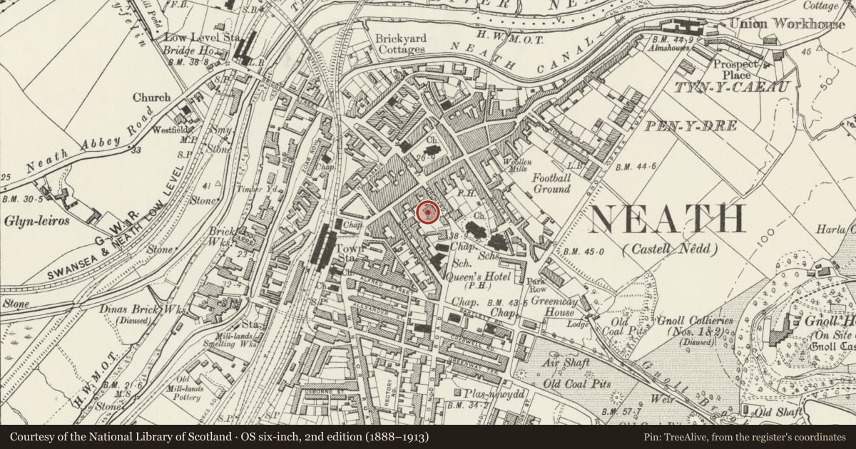 Ordnance Survey six-inch map, 2nd edition (1888–1913) covering the location of Gwyn Hall, Neath, Neath Port Talbot, with a pin at the register's coordinates