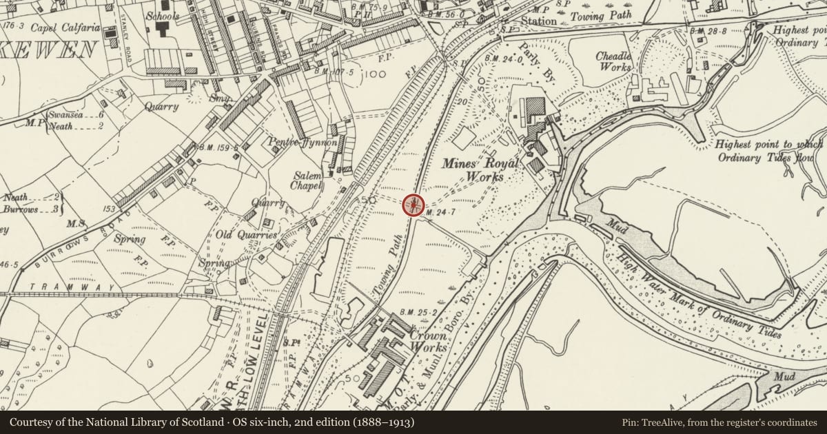 Ordnance Survey six-inch map, 2nd edition (1888–1913) covering the location of Bridge over S end of Skewen Cutting, Tennant Canal (partly in Dyffryn Clydach community), Coedffranc, Neath Port Talbot, with a pin at the register's coordinates