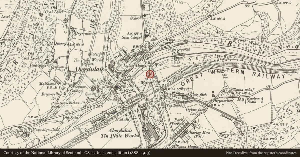 Ordnance Survey six-inch map, 2nd edition (1888–1913) covering the location of Pont Gam, Tonna, Neath Port Talbot, with a pin at the register's coordinates
