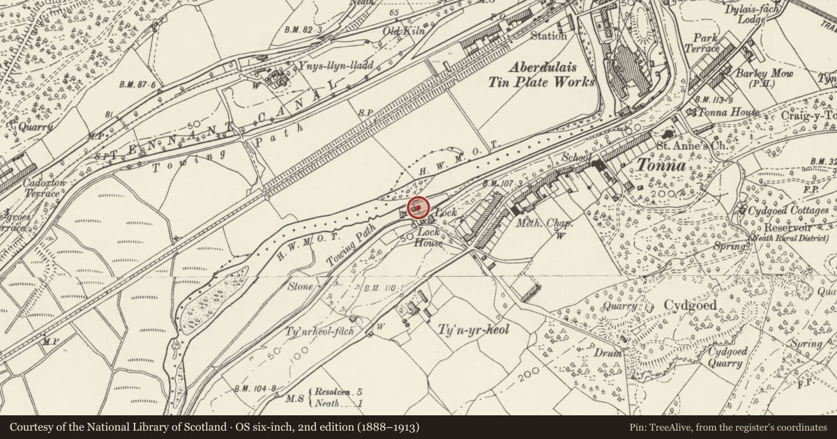Ordnance Survey six-inch map, 2nd edition (1888–1913) covering the location of Wood seasoning shed & saw pit at Neath Canal Depot, Tonna, Neath Port Talbot, with a pin at the register's coordinates