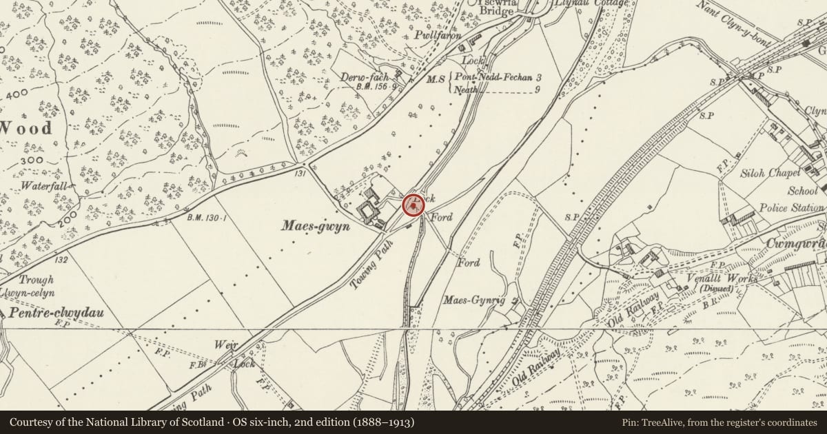 Ordnance Survey six-inch map, 2nd edition (1888–1913) covering the location of Limekiln to SE of Maes-Gwyn Lock on Neath Canal, Glynneath, Neath Port Talbot, with a pin at the register's coordinates