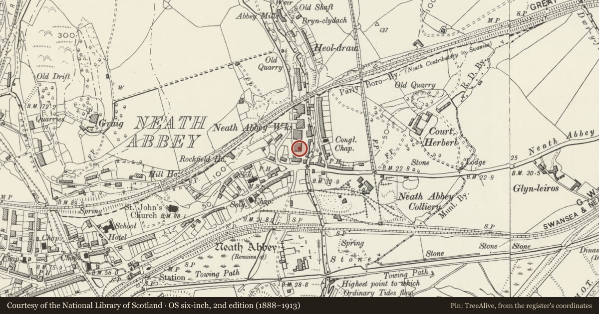 Ordnance Survey six-inch map, 2nd edition (1888–1913) covering the location of Former engine manufacturing building at former Neath Abbey Ironworks, Dyffryn Clydach, Neath Port Talbot, with a pin at the register's coordinates