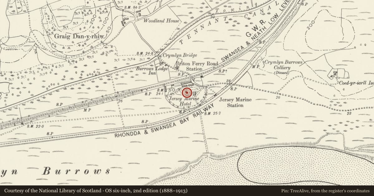 Ordnance Survey six-inch map, 2nd edition (1888–1913) covering the location of Jersey Marine Tower, Coedffranc, Neath Port Talbot, with a pin at the register's coordinates