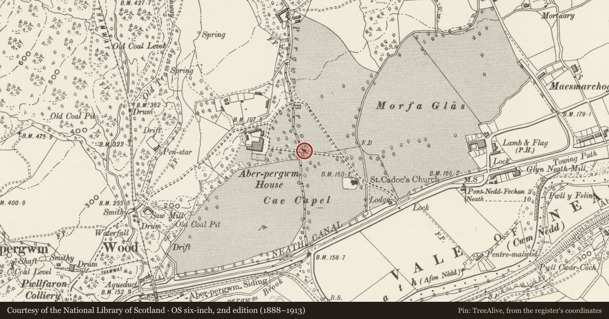 Ordnance Survey six-inch map, 2nd edition (1888–1913) covering the location of Gates across driveway at Aberpergwm House, Glynneath, Neath Port Talbot, with a pin at the register's coordinates