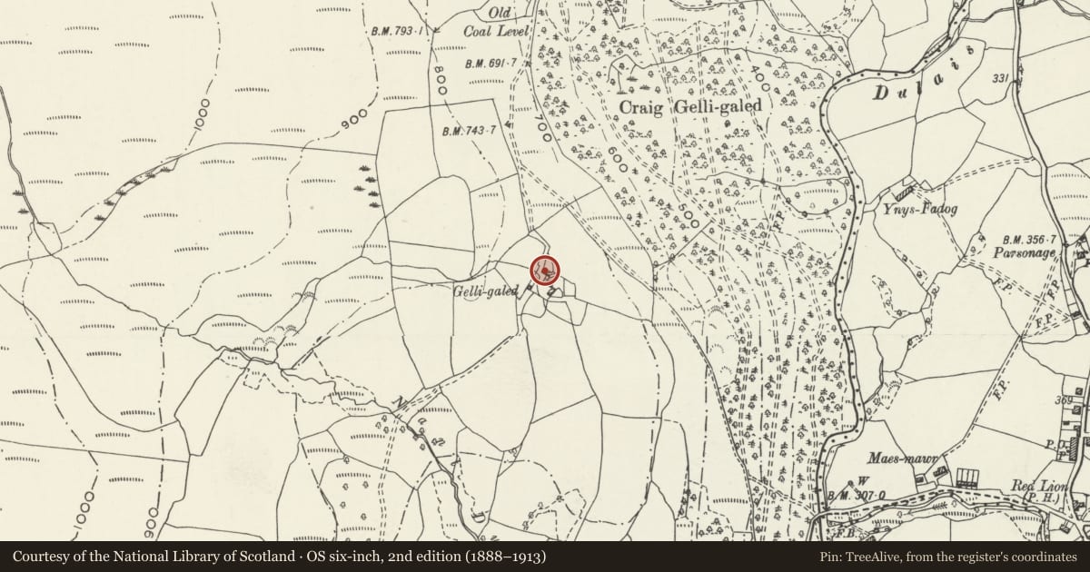 Ordnance Survey six-inch map, 2nd edition (1888–1913) covering the location of Walls of barn to NW of Gelli Galed Farmhouse, Crynant, Neath Port Talbot, with a pin at the register's coordinates