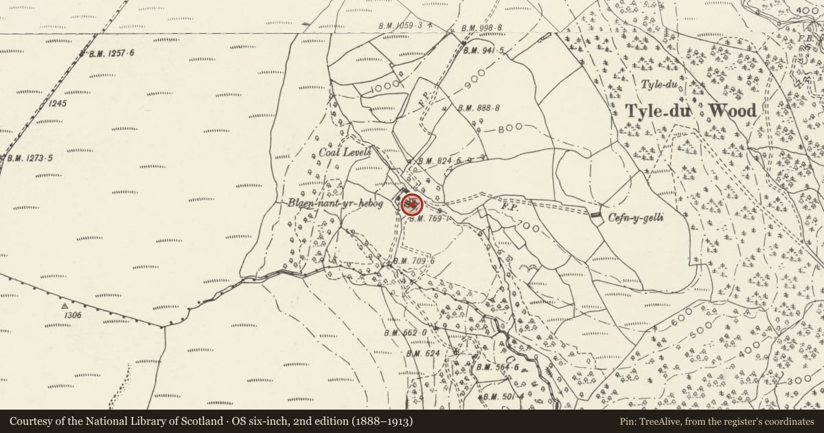 Ordnance Survey six-inch map, 2nd edition (1888–1913) covering the location of Circular latrine at Blaen-nant-yr-hebog, Glynneath, Neath Port Talbot, with a pin at the register's coordinates