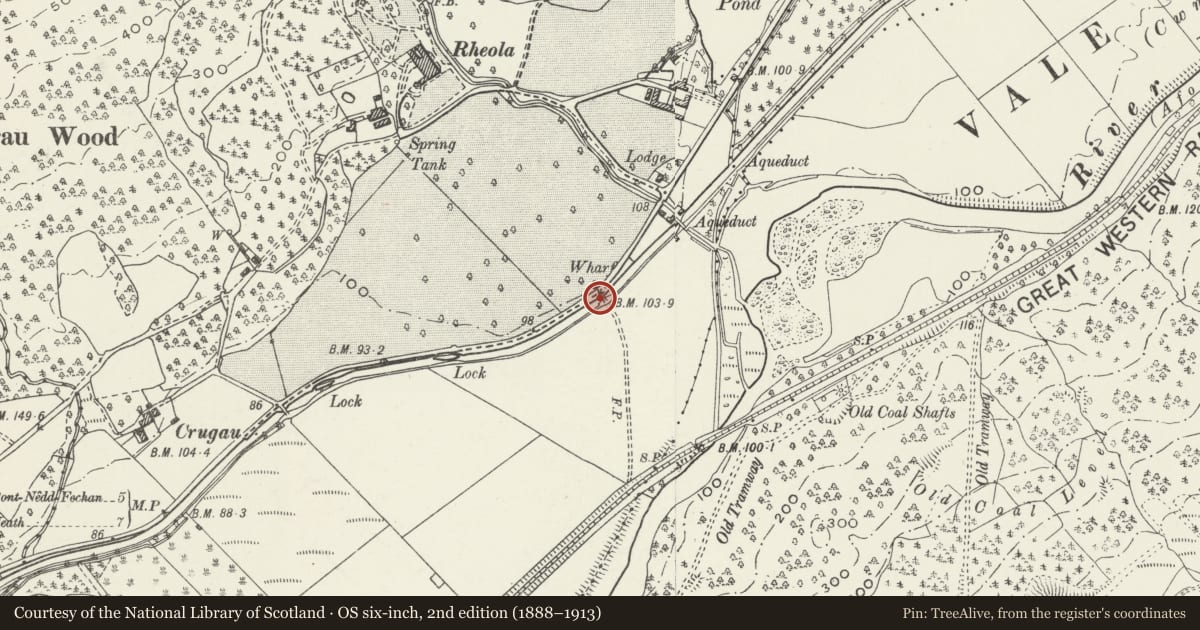 Ordnance Survey six-inch map, 2nd edition (1888–1913) covering the location of Rheola overbridge on Neath Canal, Glynneath, Neath Port Talbot, with a pin at the register's coordinates