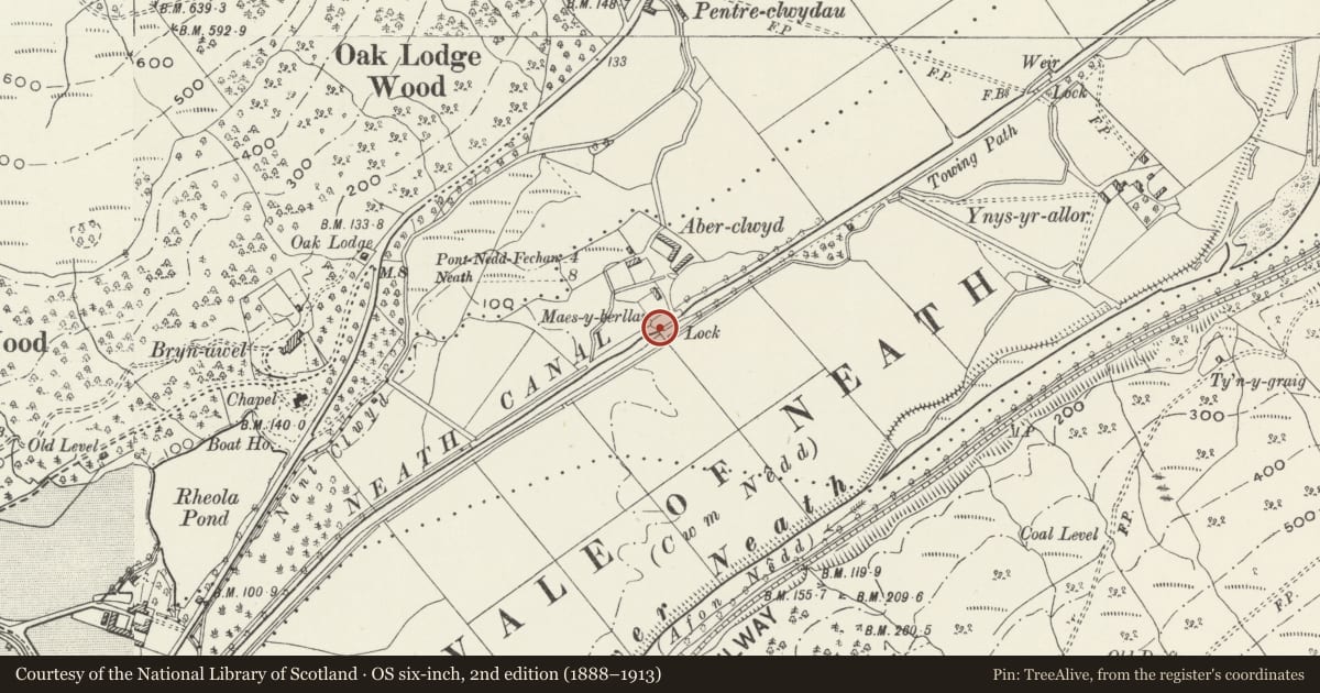 Ordnance Survey six-inch map, 2nd edition (1888–1913) covering the location of Aber-clwyd bridge over Neath Canal, Glynneath, Neath Port Talbot, with a pin at the register's coordinates