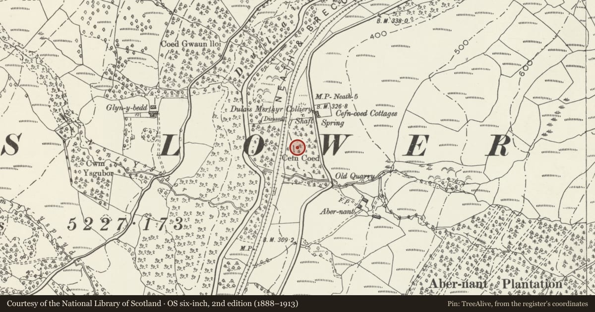 Ordnance Survey six-inch map, 2nd edition (1888–1913) covering the location of Cefn Coed Colliery, No. 1 Shaft Headframe, Crynant, Neath Port Talbot, with a pin at the register's coordinates
