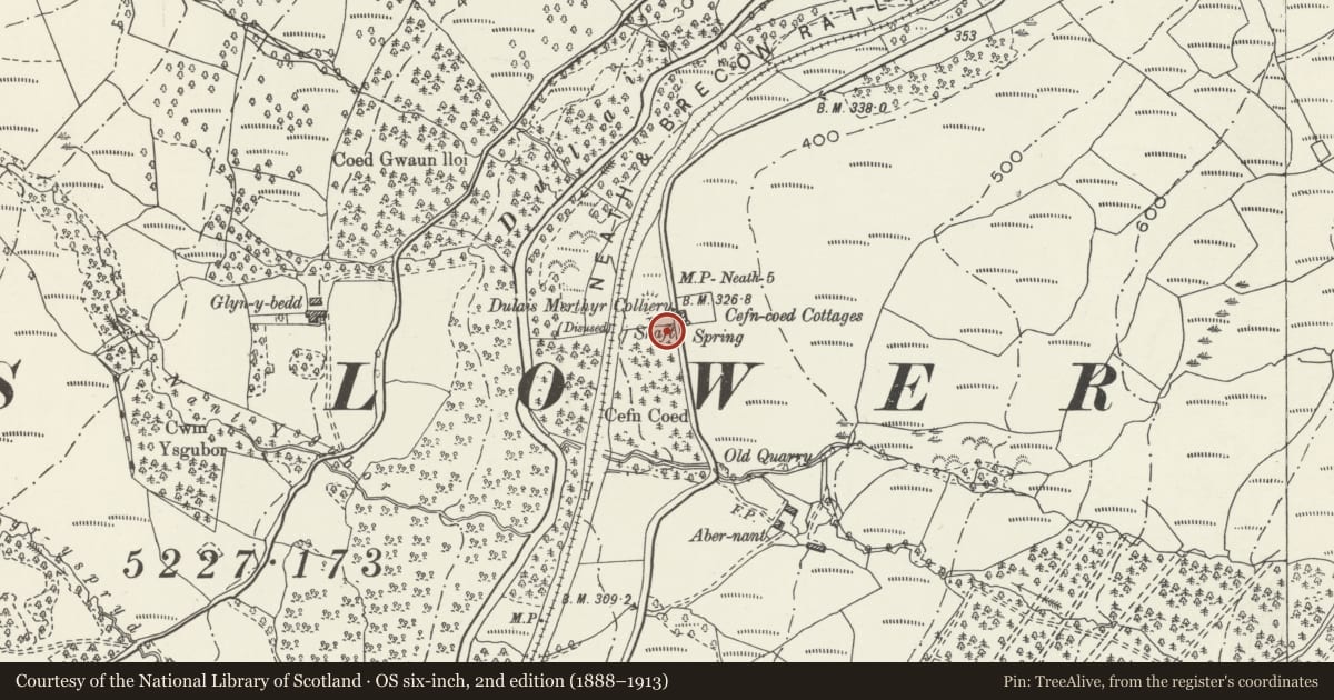 Ordnance Survey six-inch map, 2nd edition (1888–1913) covering the location of Cefn Coed Colliery chimney and boiler house flue, Crynant, Neath Port Talbot, with a pin at the register's coordinates