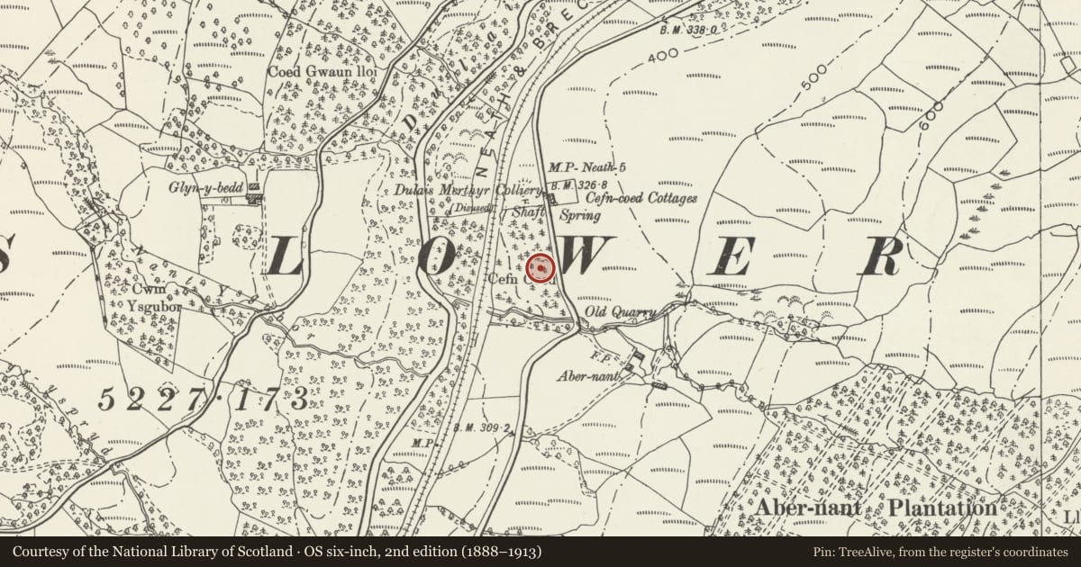Ordnance Survey six-inch map, 2nd edition (1888–1913) covering the location of Cefn Coed Colliery Engine House Range and Steam Capstan Engine, Crynant, Neath Port Talbot, with a pin at the register's coordinates