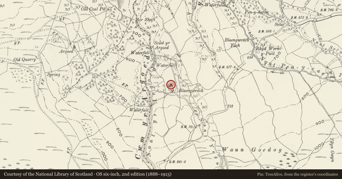 Ordnance Survey six-inch map, 2nd edition (1888–1913) covering the location of Agricultural range at Blaengwrach Farm, Neath Port Talbot, with a pin at the register's coordinates