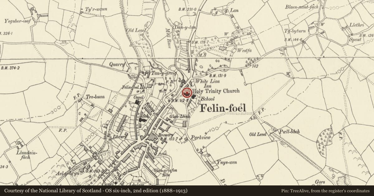 Ordnance Survey six-inch map, 2nd edition (1888–1913) covering the location of Church of The Holy Trinity, Llanelli Rural, Carmarthenshire, with a pin at the register's coordinates