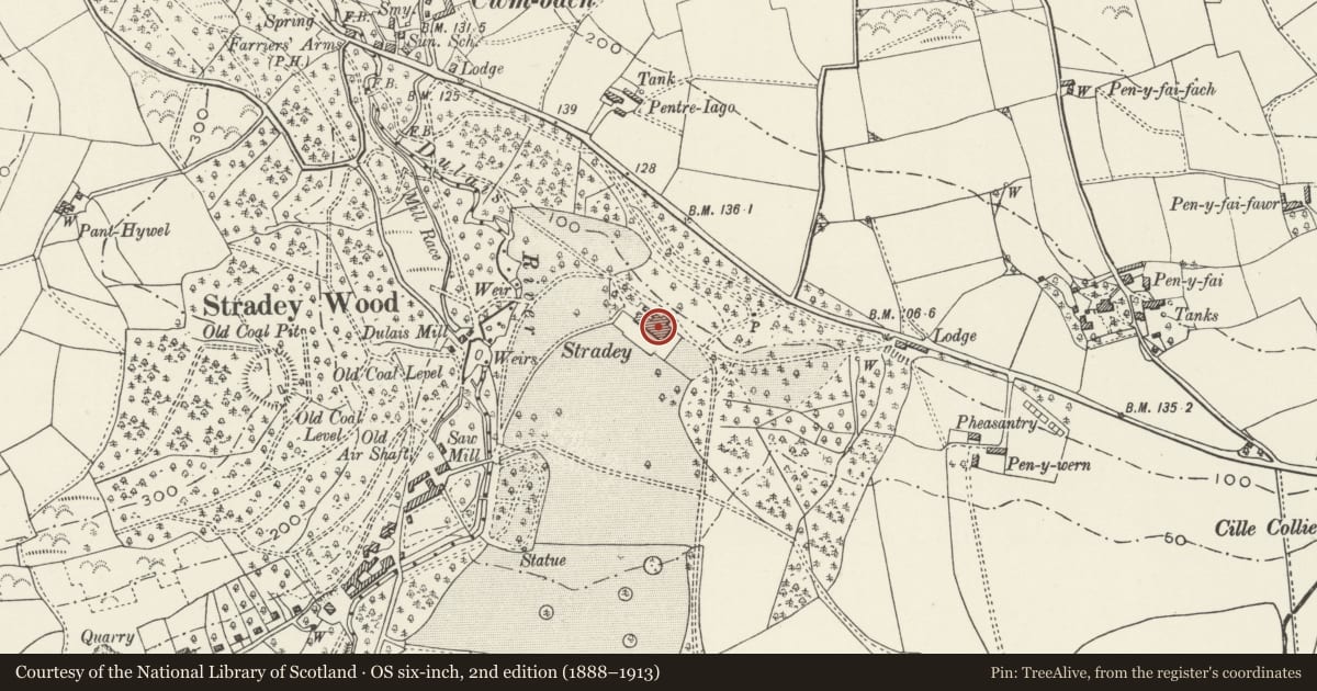 Ordnance Survey six-inch map, 2nd edition (1888–1913) covering the location of Stradey Castle, Llanelli Rural, Carmarthenshire, with a pin at the register's coordinates