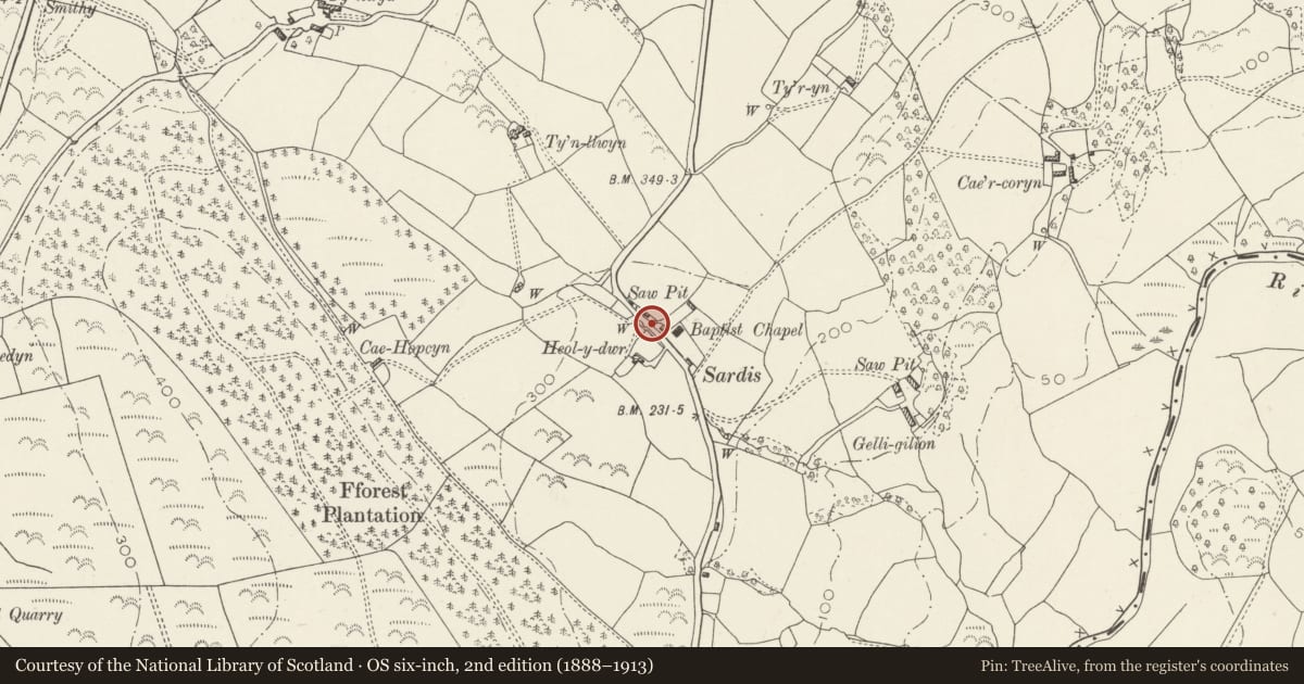 Ordnance Survey six-inch map, 2nd edition (1888–1913) covering the location of Circular Pigsty at Bryngelli, Llanedi, Carmarthenshire, with a pin at the register's coordinates