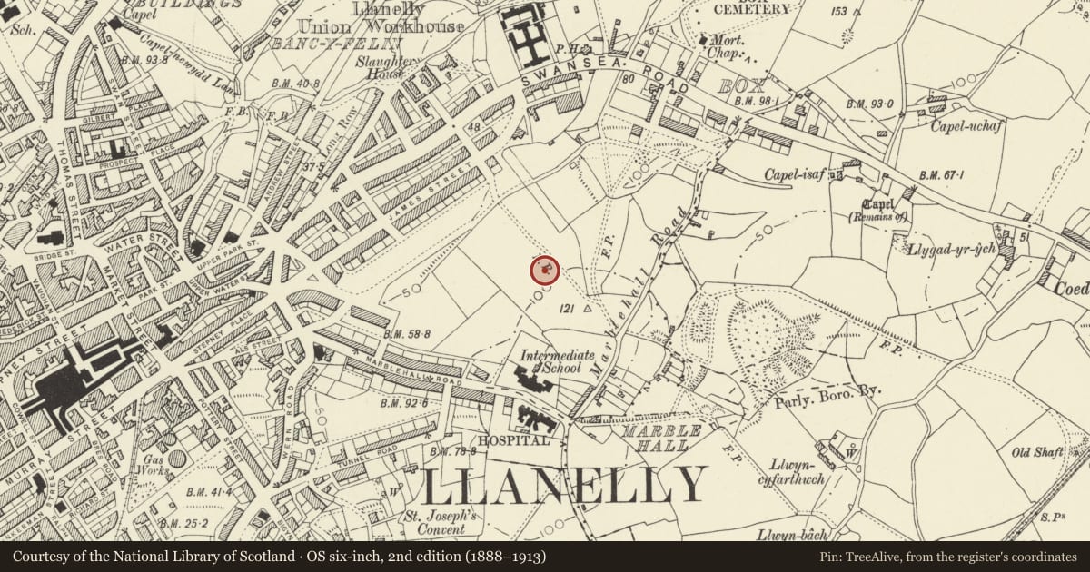 Ordnance Survey six-inch map, 2nd edition (1888–1913) covering the location of Church of St Alban, Llanelli, Carmarthenshire, with a pin at the register's coordinates
