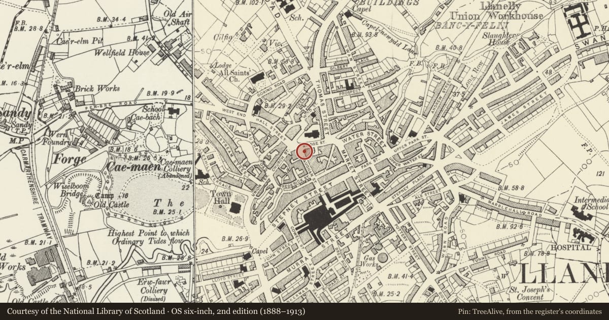 Ordnance Survey six-inch map, 2nd edition (1888–1913) covering the location of 20 Vaughan St/Bridge St, Llanelli, Carmarthenshire, with a pin at the register's coordinates