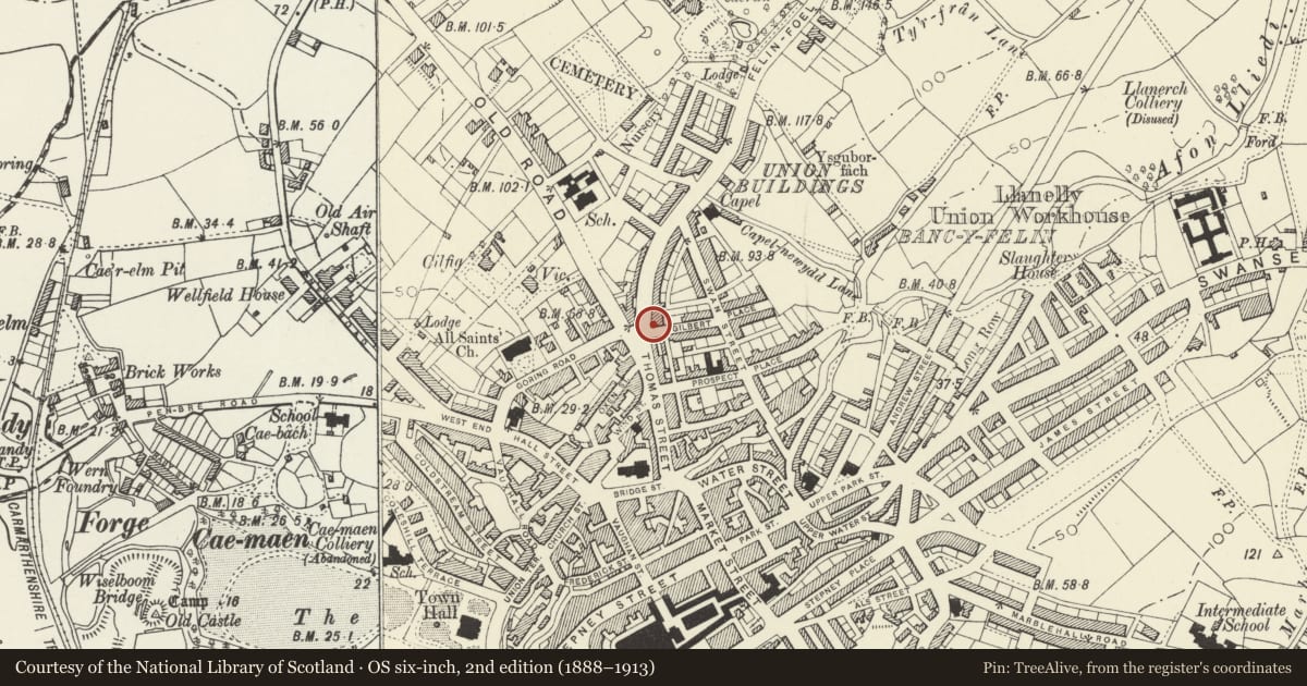 Ordnance Survey six-inch map, 2nd edition (1888–1913) covering the location of including Railings and Front Terrace, Llanelli, Carmarthenshire, with a pin at the register's coordinates