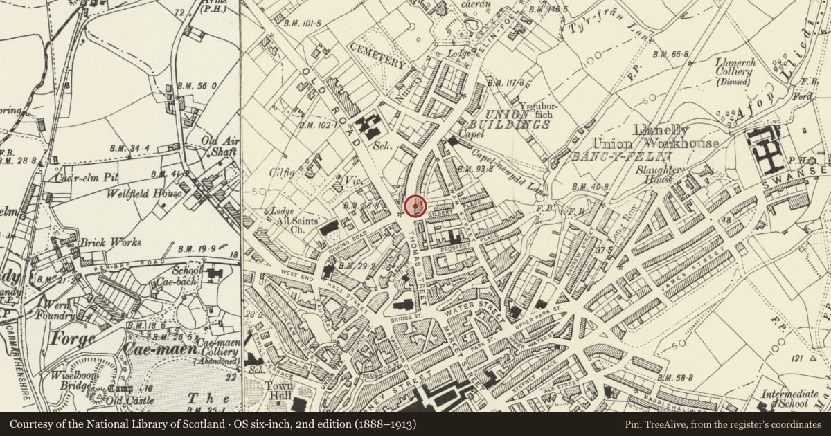 Ordnance Survey six-inch map, 2nd edition (1888–1913) covering the location of Carrefair, including Railings and front Terrace, Llanelli, Carmarthenshire, with a pin at the register's coordinates
