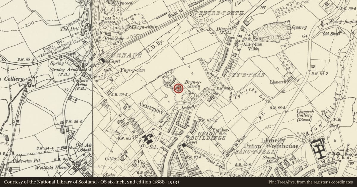 Ordnance Survey six-inch map, 2nd edition (1888–1913) covering the location of Parc Howard Mansion (Museum & Art Gallery), Llanelli, Carmarthenshire, with a pin at the register's coordinates