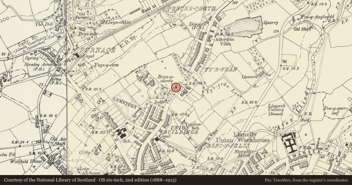 Ordnance Survey six-inch map, 2nd edition (1888–1913) covering the location of Two sets of Gates, Gatepiers & Railings to Parc Howard, Llanelli, Carmarthenshire, with a pin at the register's coordinates