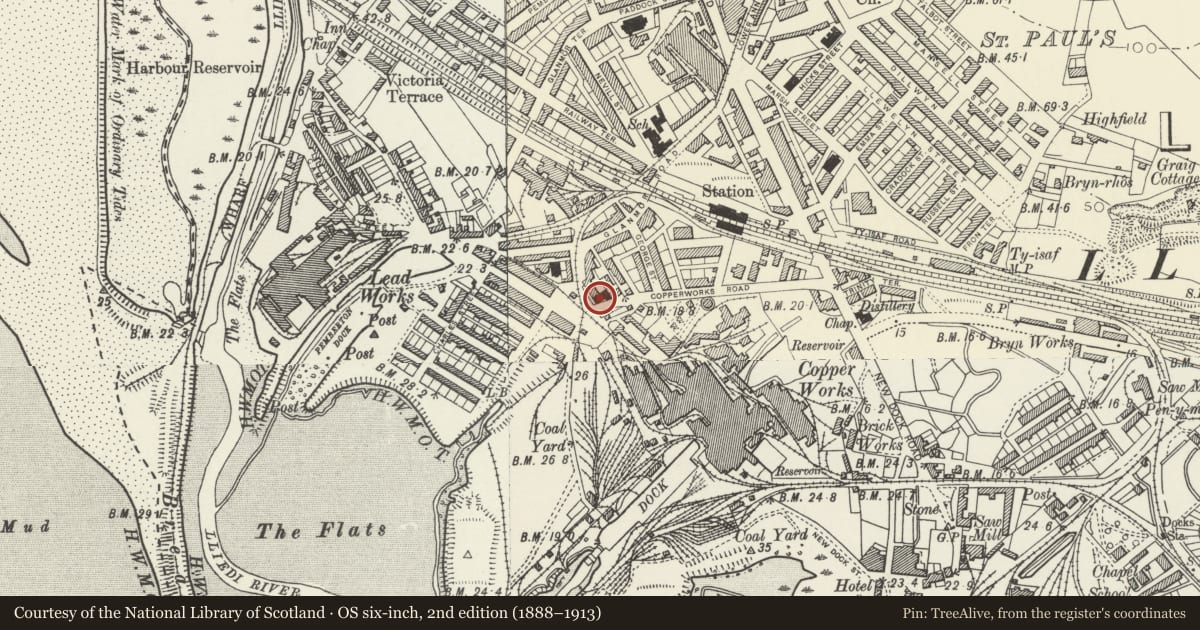 Ordnance Survey six-inch map, 2nd edition (1888–1913) covering the location of Siloah Independent Chapel, including forecourt gates & railings, Llanelli, Carmarthenshire, with a pin at the register's coordinates