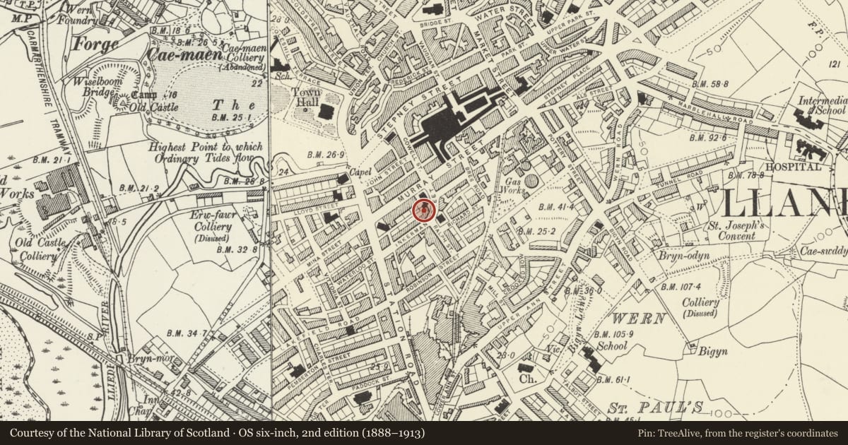 Ordnance Survey six-inch map, 2nd edition (1888–1913) covering the location of Park Congregational School, Llanelli, Carmarthenshire, with a pin at the register's coordinates