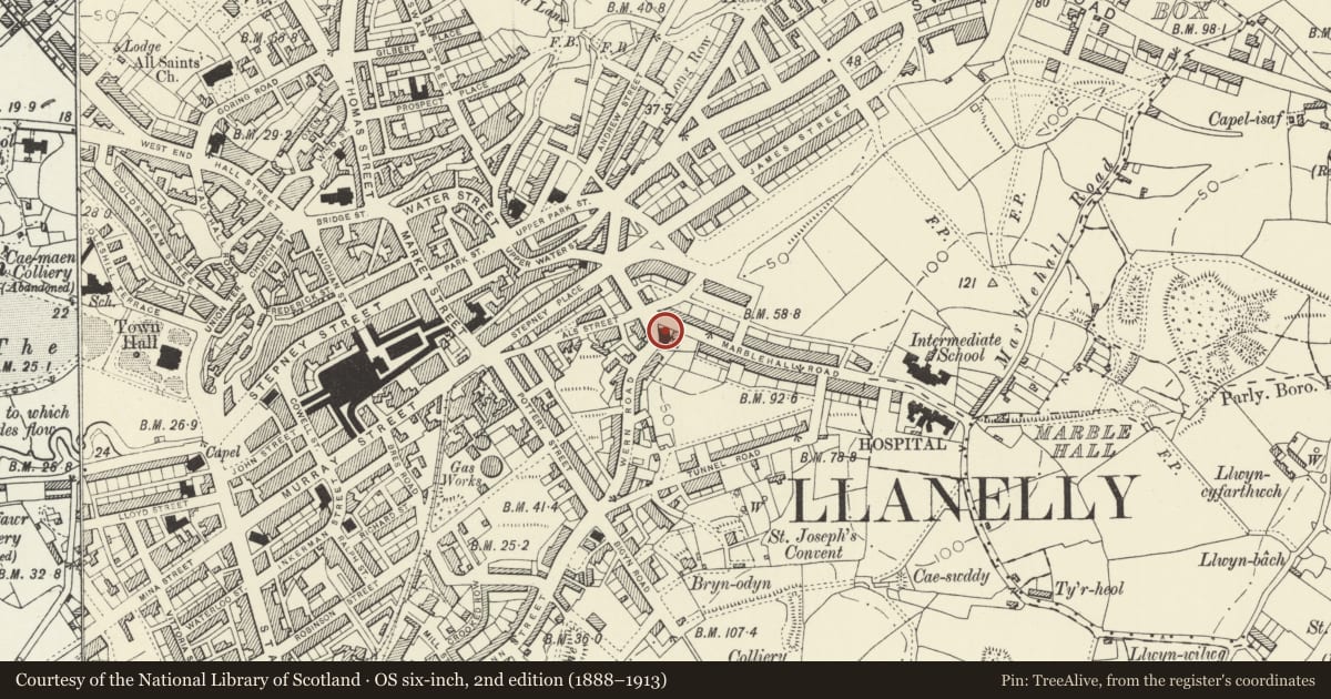Ordnance Survey six-inch map, 2nd edition (1888–1913) covering the location of Capel Als, including railings, piers & gates to Chapel Enclosure, Llanelli, Carmarthenshire, with a pin at the register's coordinates
