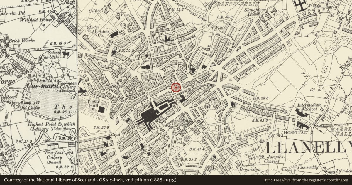 Ordnance Survey six-inch map, 2nd edition (1888–1913) covering the location of 6 Park Street, Llanelli, Carmarthenshire, with a pin at the register's coordinates