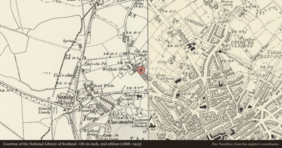 Ordnance Survey six-inch map, 2nd edition (1888–1913) covering the location of Craig House, Llanelli, Carmarthenshire, with a pin at the register's coordinates