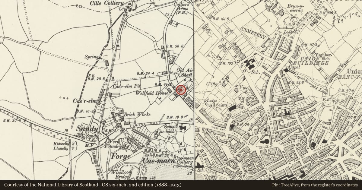 Ordnance Survey six-inch map, 2nd edition (1888–1913) covering the location of Ravenscourt, Llanelli, Carmarthenshire, with a pin at the register's coordinates
