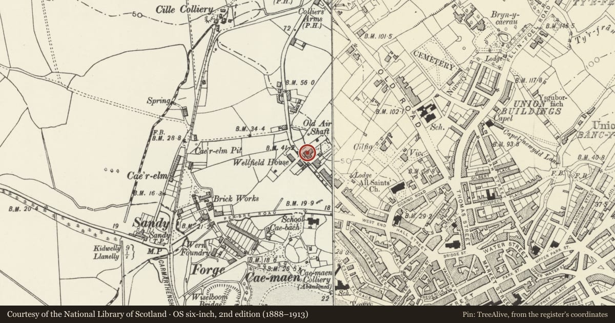 Ordnance Survey six-inch map, 2nd edition (1888–1913) covering the location of Wellfield, Llanelli, Carmarthenshire, with a pin at the register's coordinates