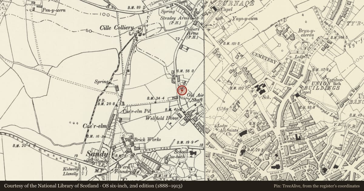 Ordnance Survey six-inch map, 2nd edition (1888–1913) covering the location of 78 including Walled Forecourt, Llanelli, Carmarthenshire, with a pin at the register's coordinates