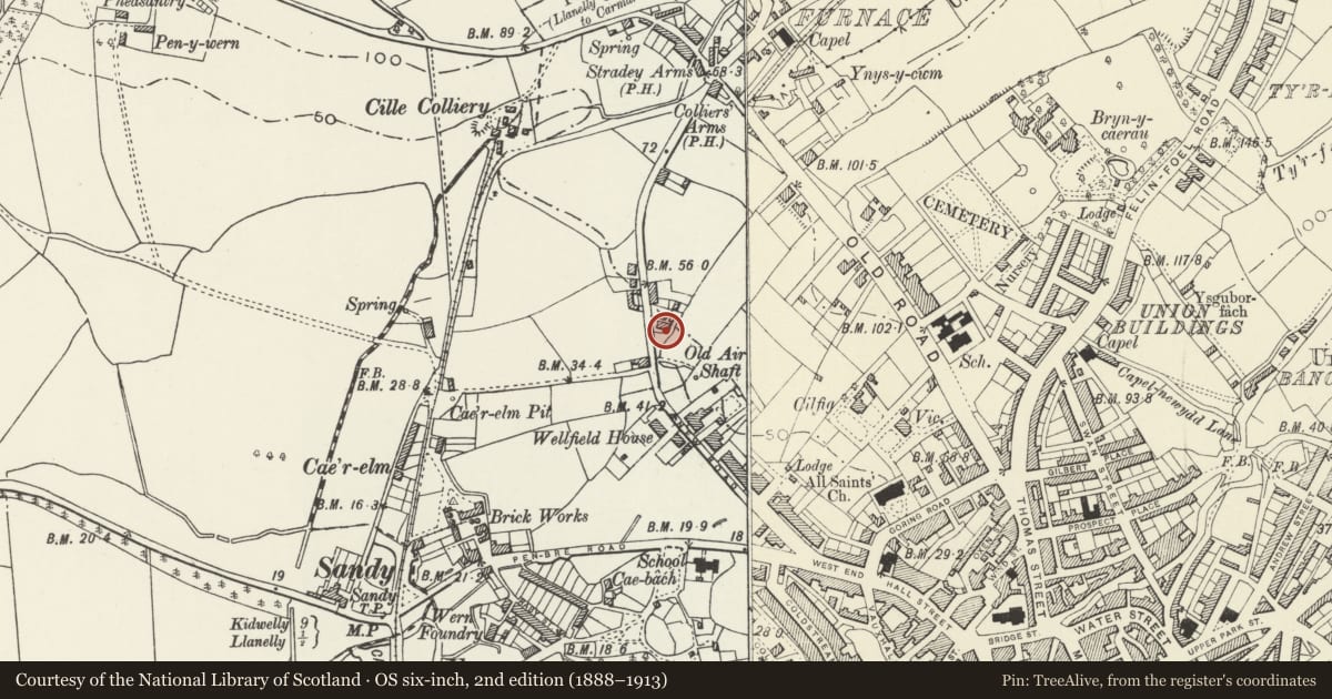 Ordnance Survey six-inch map, 2nd edition (1888–1913) covering the location of 80 including Walled Forecourt, Llanelli, Carmarthenshire, with a pin at the register's coordinates