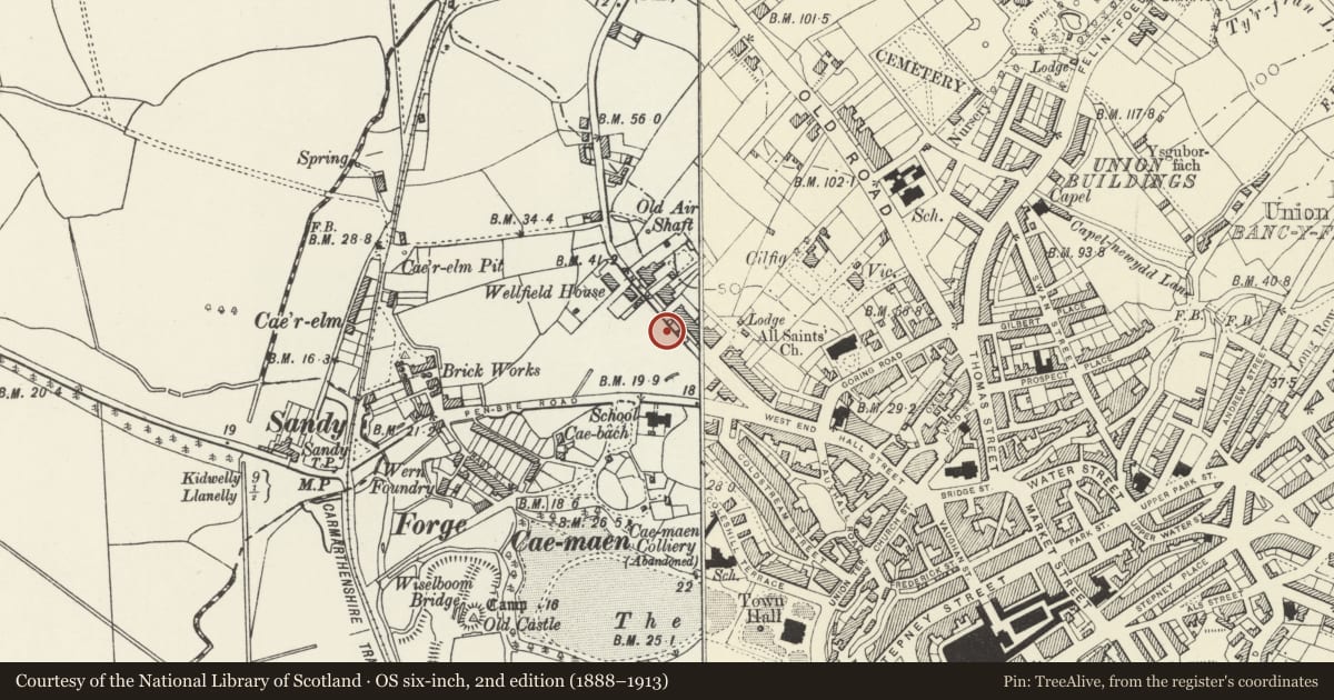 Ordnance Survey six-inch map, 2nd edition (1888–1913) covering the location of No 41 including Gates and Railings to Forecourt, Llanelli, Carmarthenshire, with a pin at the register's coordinates