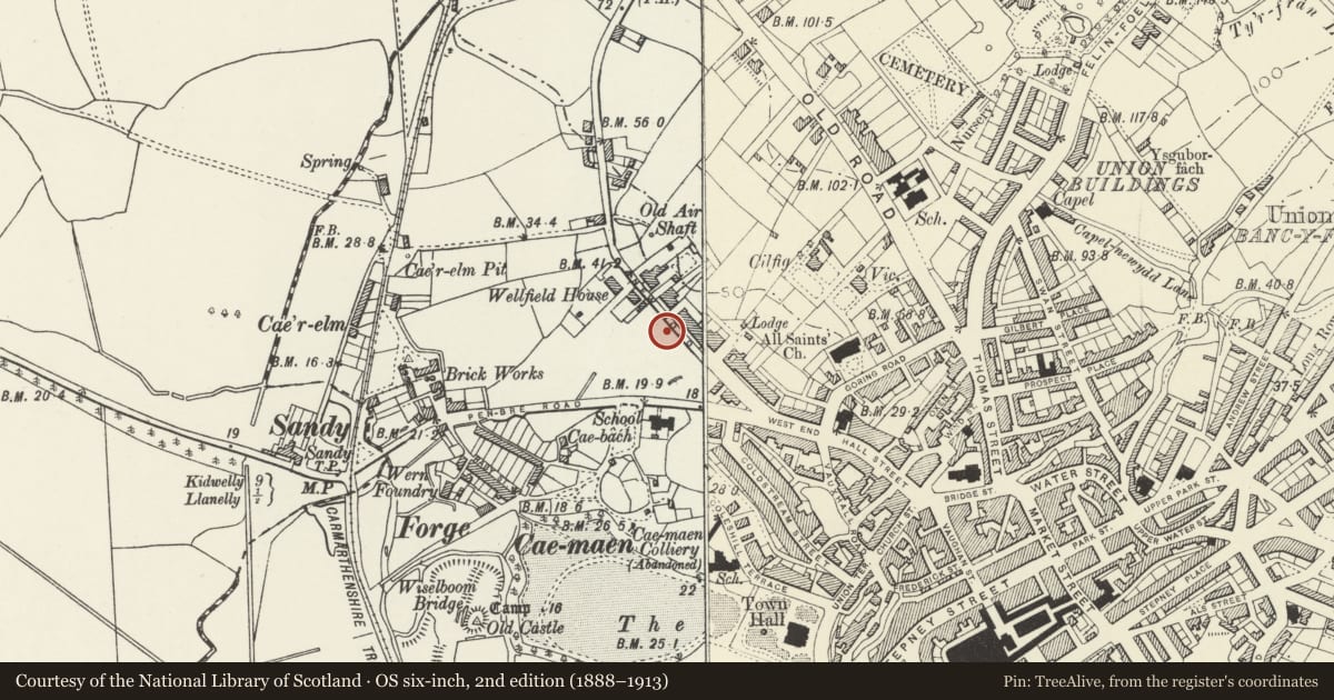 Ordnance Survey six-inch map, 2nd edition (1888–1913) covering the location of 43 including Gates and Railings to Forecourt, Llanelli, Carmarthenshire, with a pin at the register's coordinates