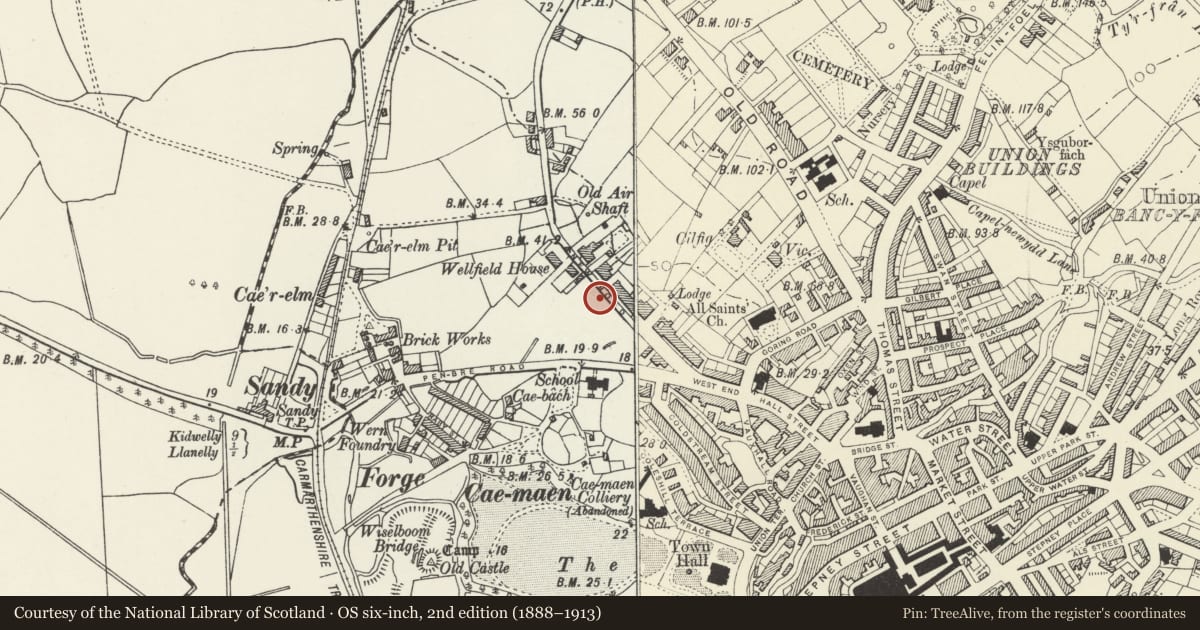 Ordnance Survey six-inch map, 2nd edition (1888–1913) covering the location of 45 including Gates and Railings to Forecourt, Llanelli, Carmarthenshire, with a pin at the register's coordinates