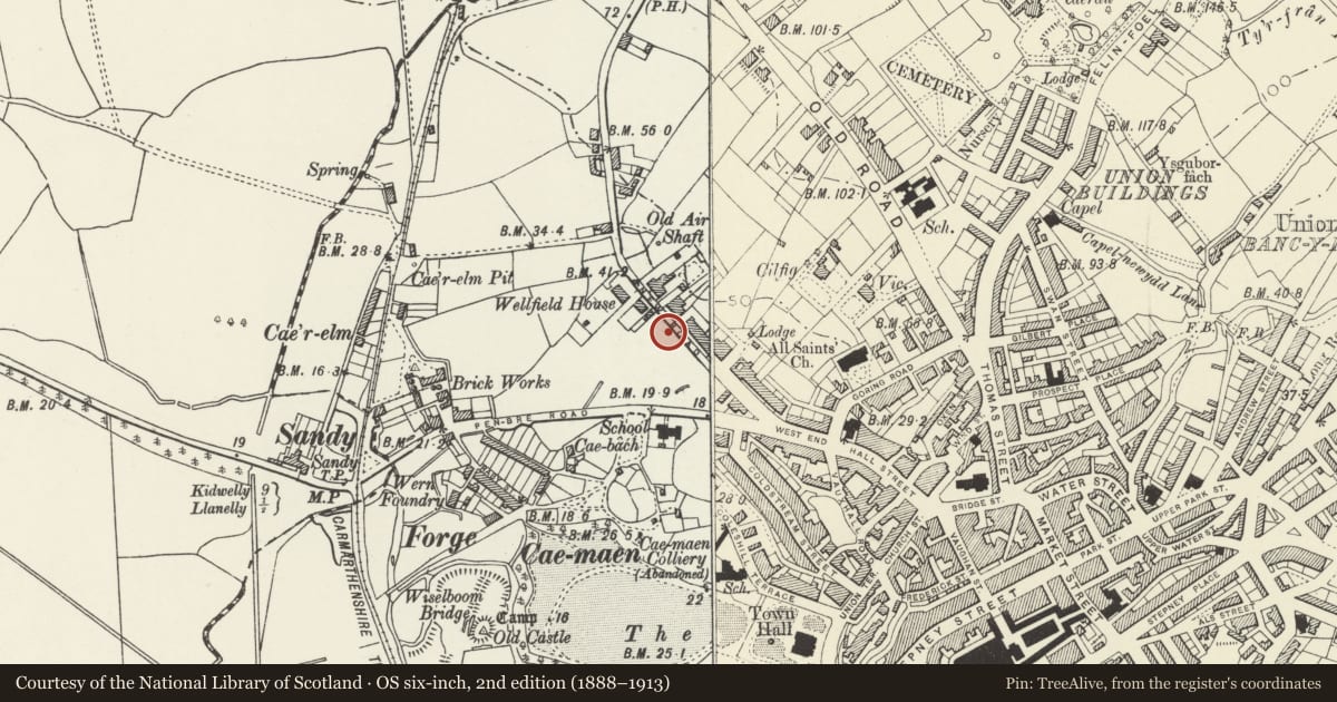 Ordnance Survey six-inch map, 2nd edition (1888–1913) covering the location of 47 including Gates and Railings to Forecourt, Llanelli, Carmarthenshire, with a pin at the register's coordinates