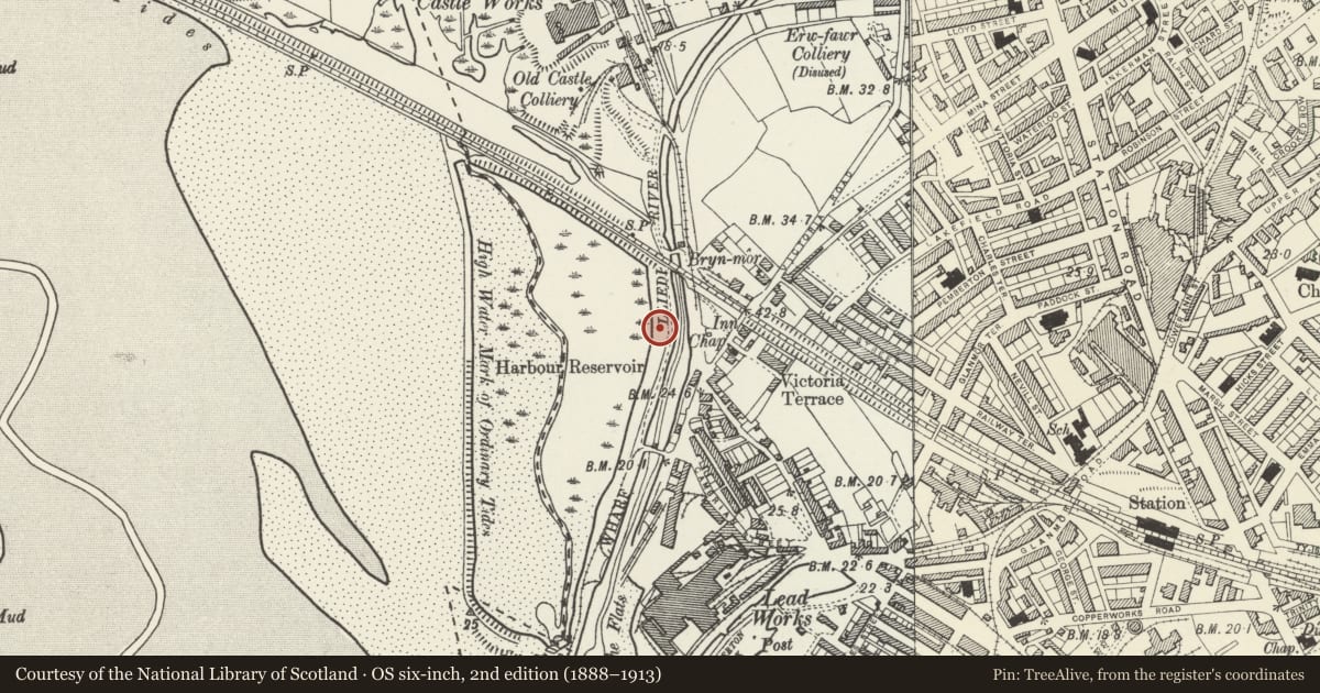 Ordnance Survey six-inch map, 2nd edition (1888–1913) covering the location of Engine House & Accumulator Tower, Llanelli, Carmarthenshire, with a pin at the register's coordinates