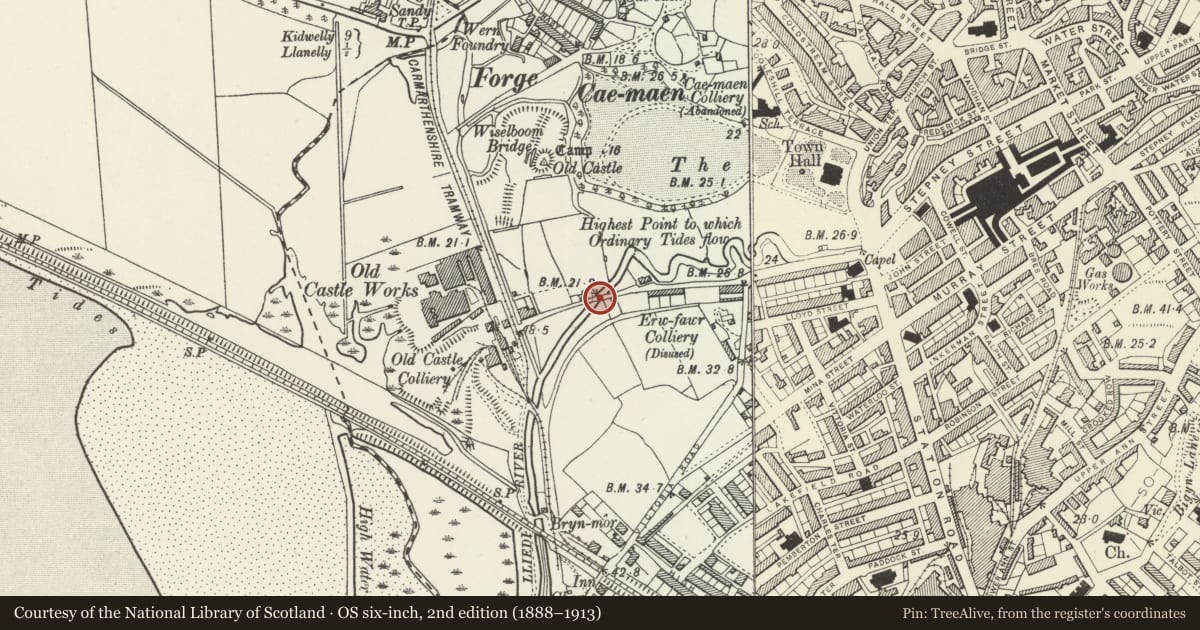 Ordnance Survey six-inch map, 2nd edition (1888–1913) covering the location of Bridge over River Lliedi, Llanelli, Carmarthenshire, with a pin at the register's coordinates