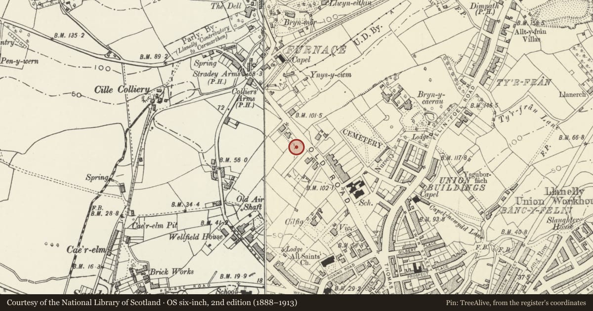 Ordnance Survey six-inch map, 2nd edition (1888–1913) covering the location of Greylands, Llanelli, Carmarthenshire, with a pin at the register's coordinates