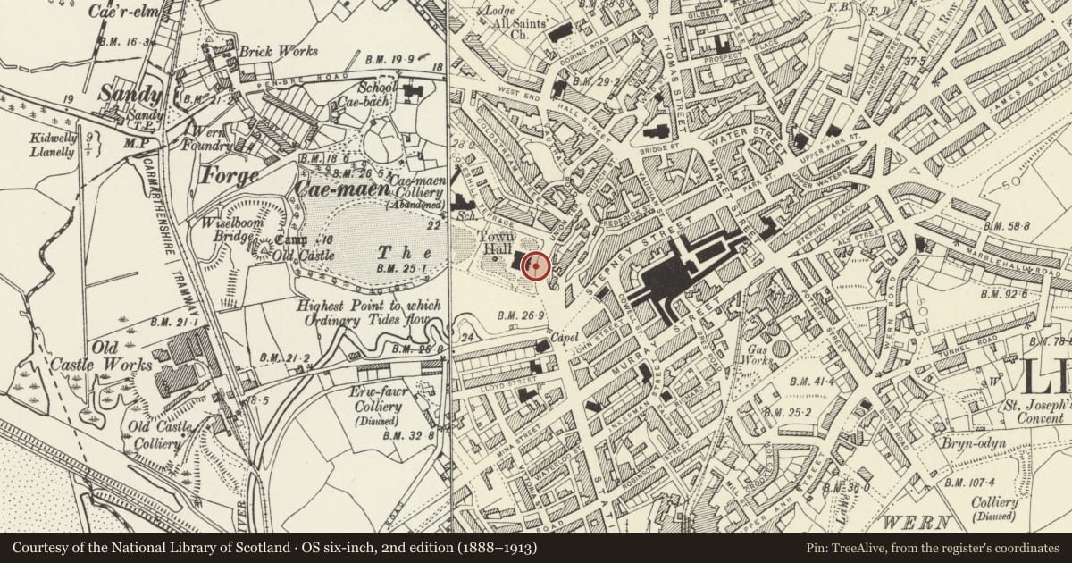 Ordnance Survey six-inch map, 2nd edition (1888–1913) covering the location of Gates & Railings to Gardens at the Town Hall, Llanelli, Carmarthenshire, with a pin at the register's coordinates