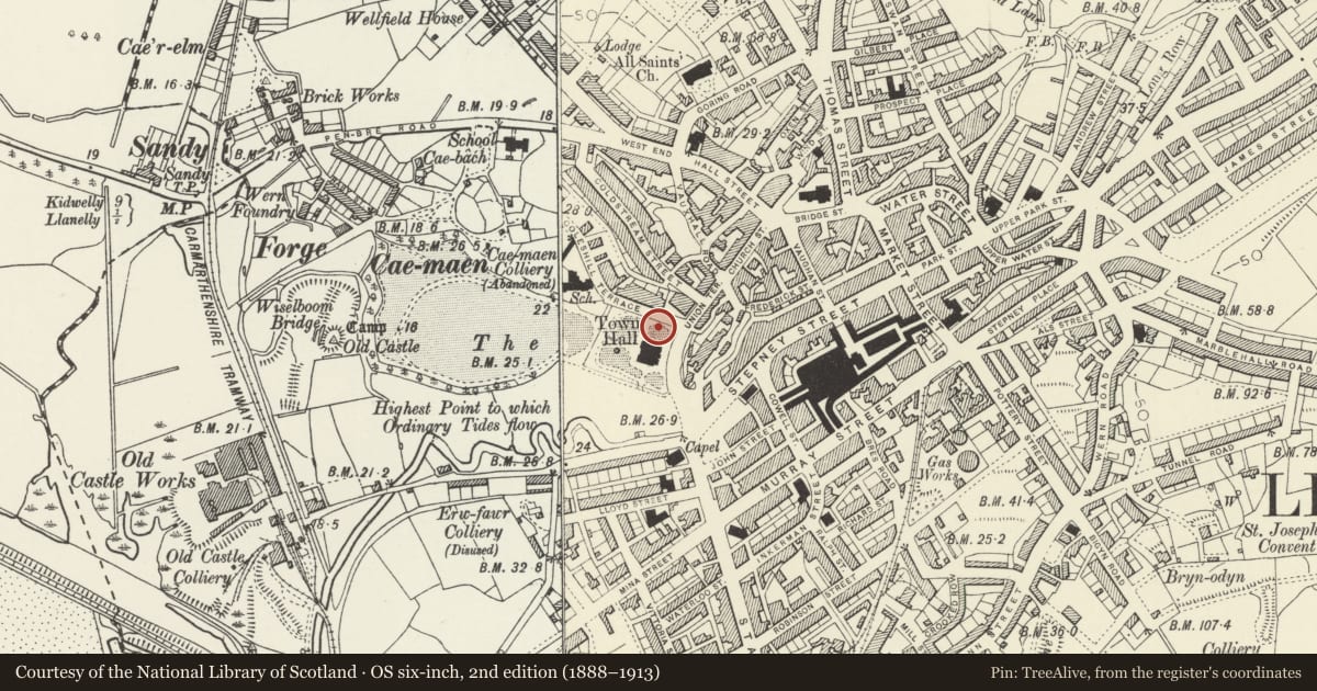Ordnance Survey six-inch map, 2nd edition (1888–1913) covering the location of Great War Memorial in Gardens at the Town Hall, Llanelli, Carmarthenshire, with a pin at the register's coordinates